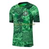 Original Fußballtrikot Nigeria Heimtrikot 2022 Für Herren